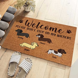 Amslol – “Step Lightly” Personalized Funny Dog-Doormat